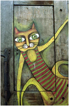 Salzburg window shutter painting of cat