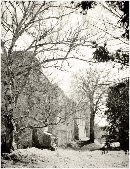 Bishops Waltham