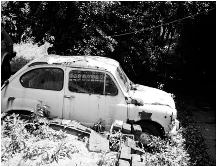 Rotting Zastava 750