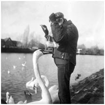 Feeding the swans 01