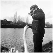 Feeding the swans 03