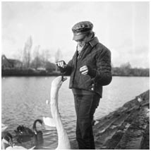 Feeding the swans 04